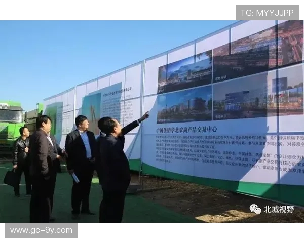 以定州和衡水为核心全面推进五人制足球区域协同创新发展新格局